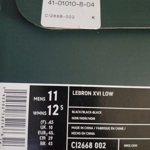 Brand new LEBRON XVI LOW